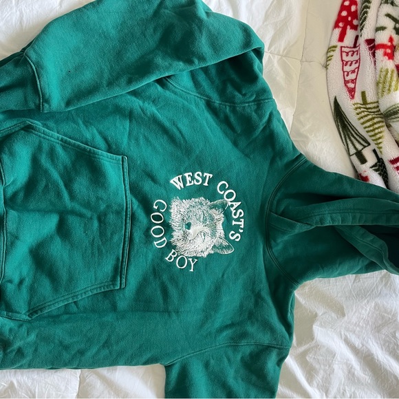 COPY - Aritzia cozy, fleece perfect hoodie - Picture 1 of 5